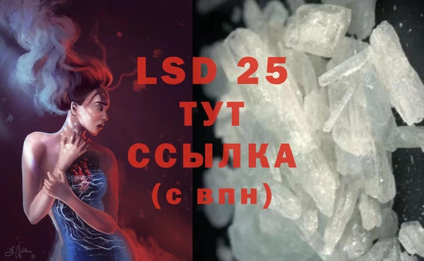 стафф Бронницы