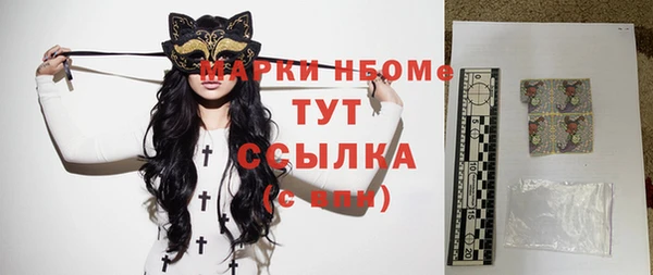 дмт Верея