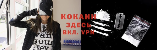 дурь Бородино
