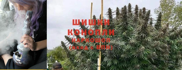 дурь Бородино