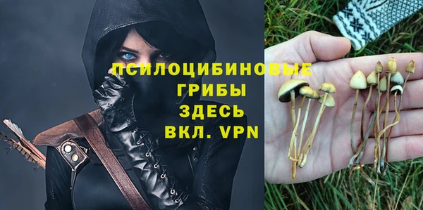 стафф Бронницы