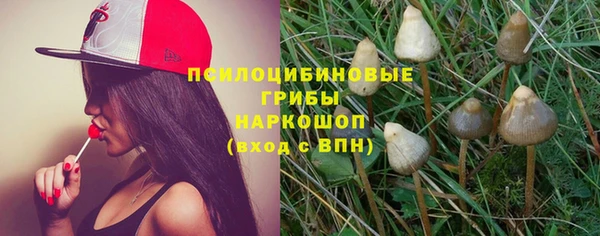 дурь Бородино