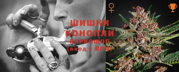 стафф Бронницы