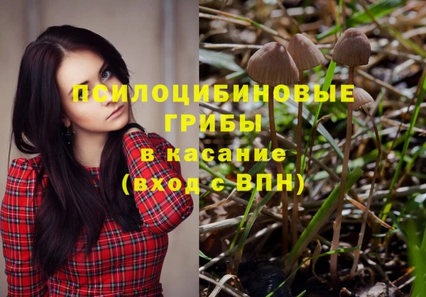 стафф Бронницы