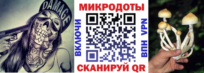 Псилоцибиновые грибы мицелий  Ростов 